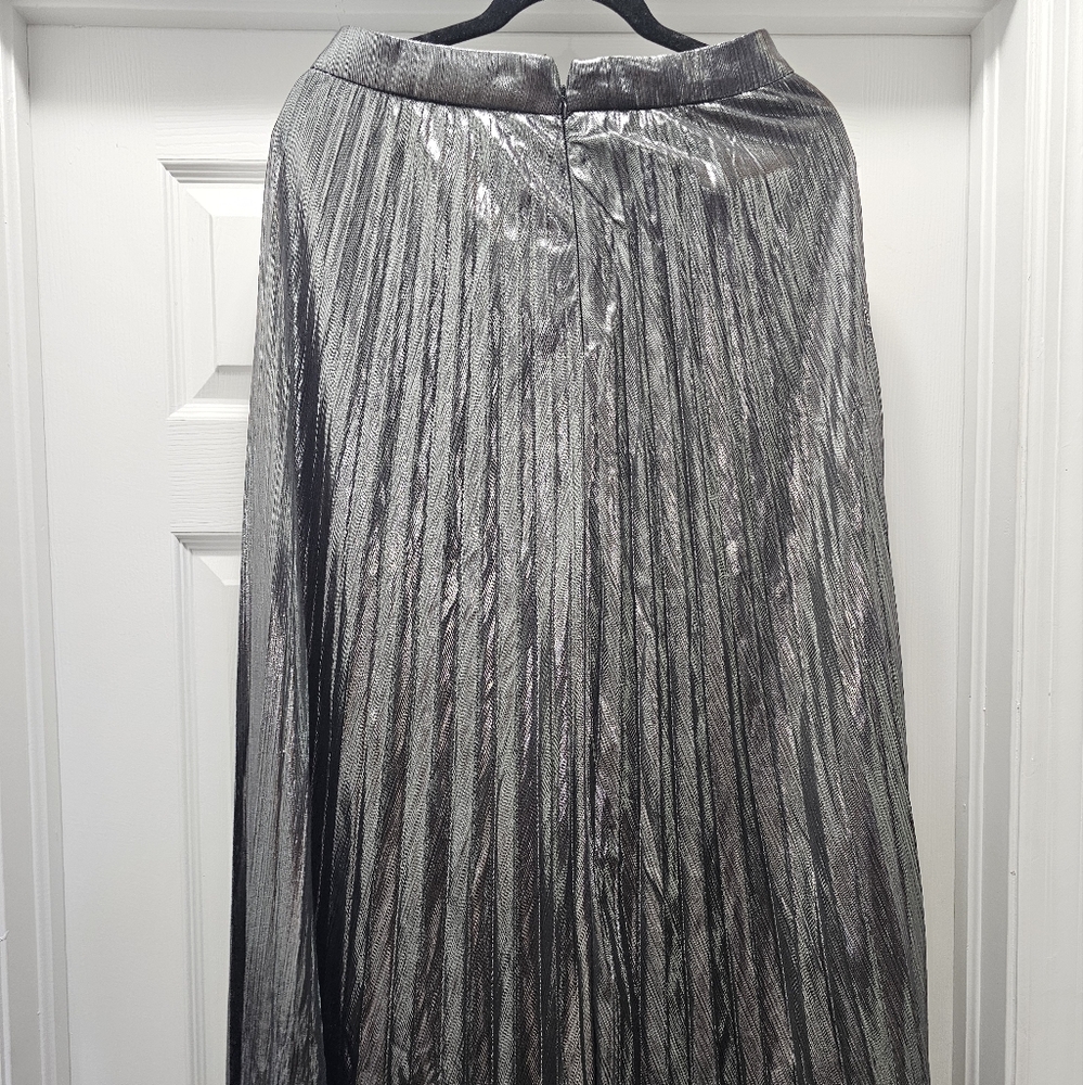 Shimmering Silver and perfect Skirt